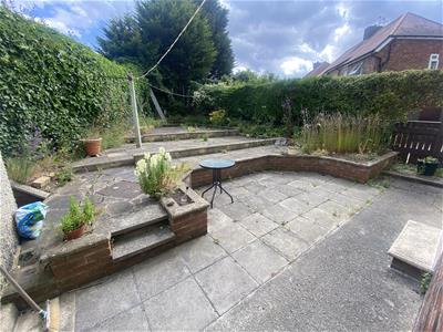 Picture 14
